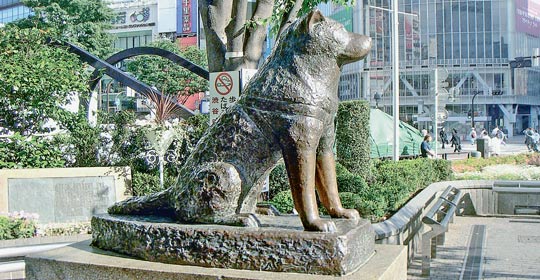 Spomenik Hačiku u Japanu